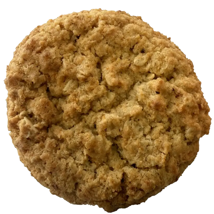 Anzac Biscuit